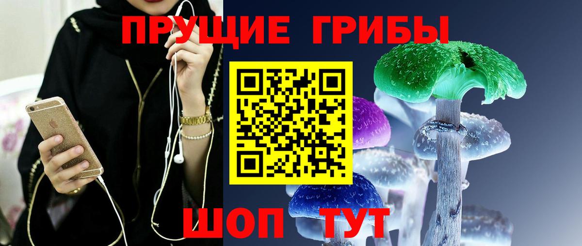 Кызыл  Галлюциногенные грибы Magic Shrooms  Вход с VPN 